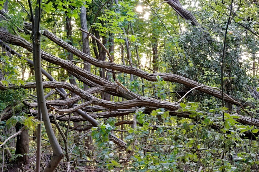 Photo Git Branching Strategy