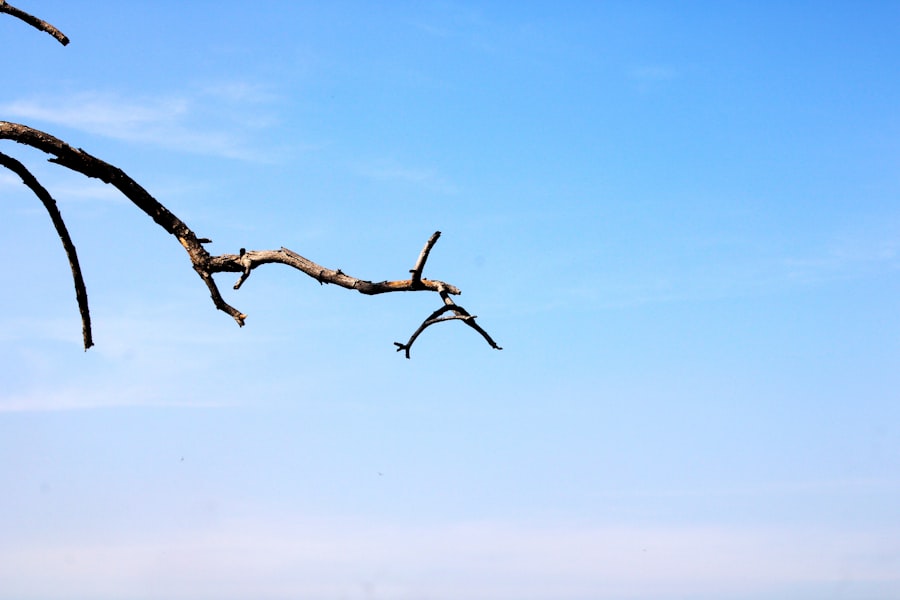 Photo Git Branching Strategy