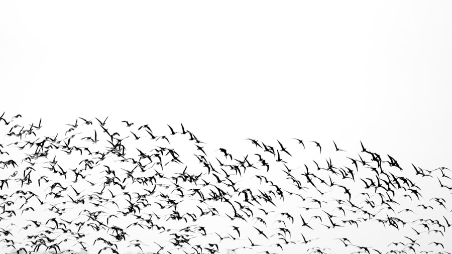 Photo WordPress Site Migration