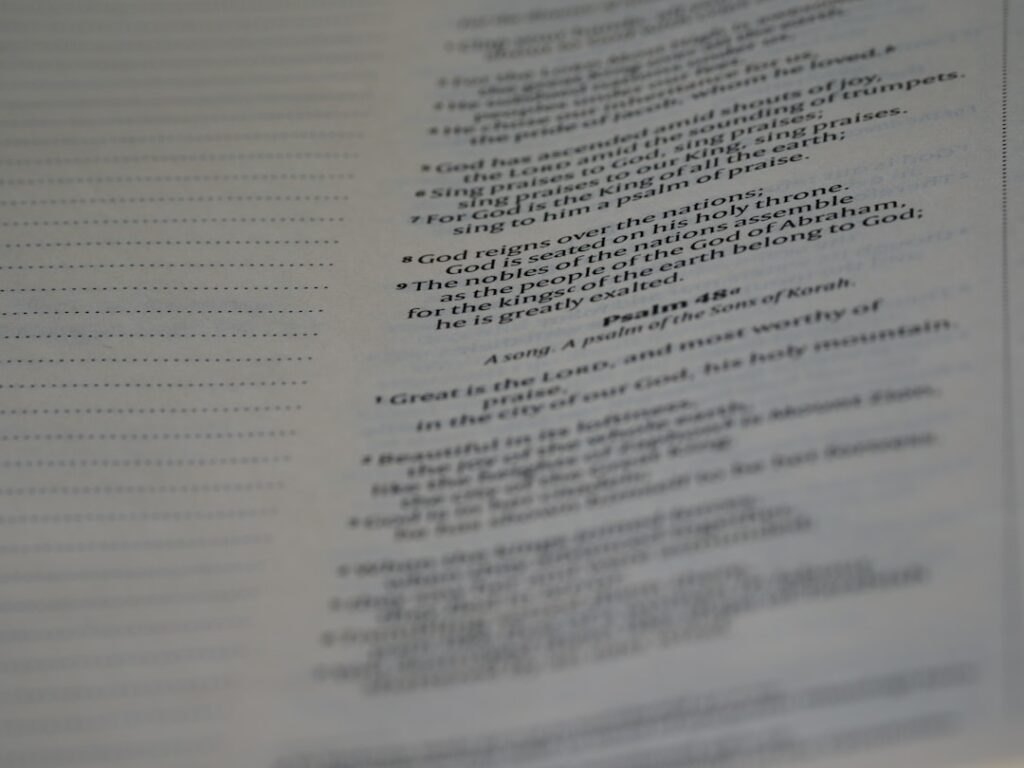 Photo Auditing Third-Party Scripts