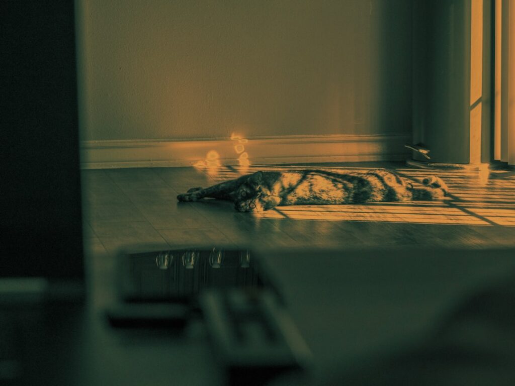 Photo MariaDB Tuning